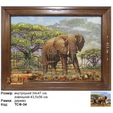 Тварини Сафарі "Слон " (ТСФ-34) 34х47 см. 