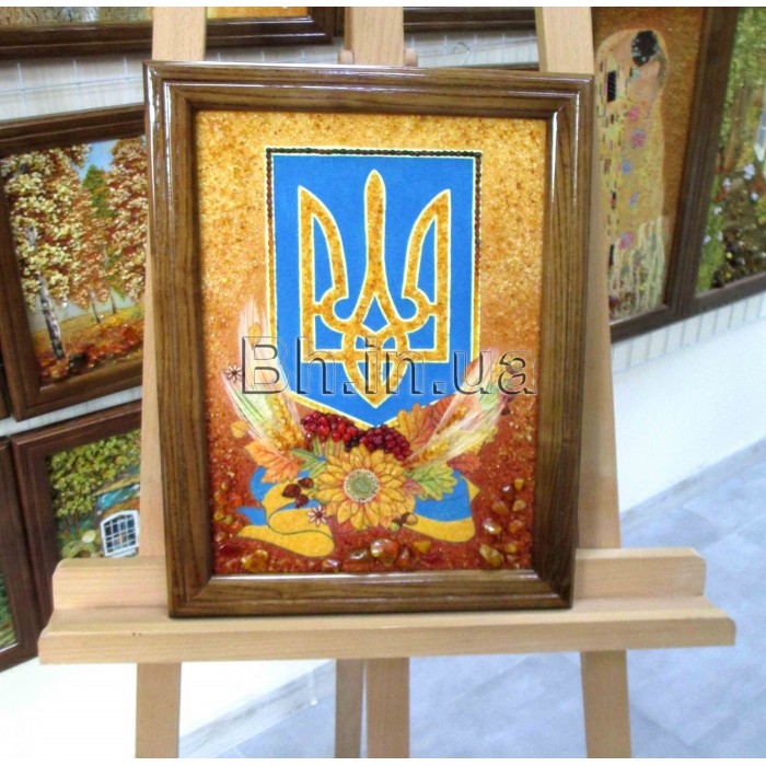 Символіка України (СУ-4) 30х40 см. 