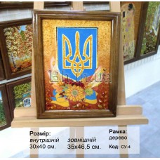 Символіка України (СУ-4) 30х40 см. 